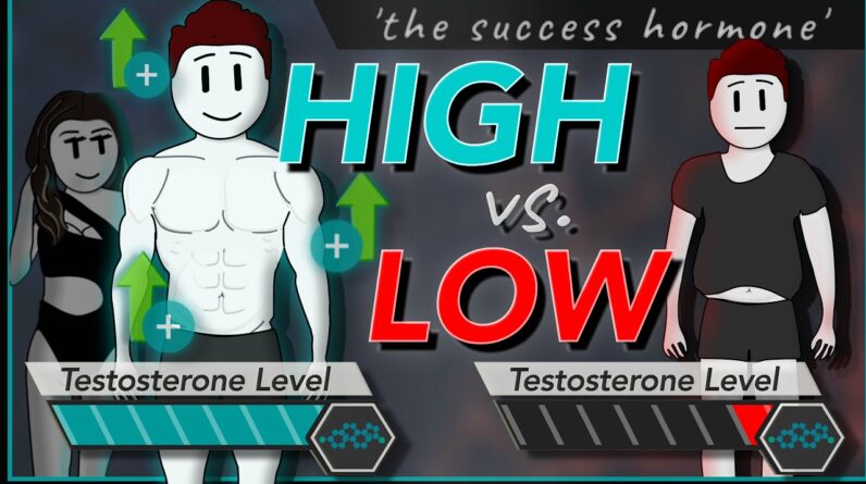 TESTOSTERONE: How To Increase Testosterone & Its Effects (Naturally Boost Low Levels)