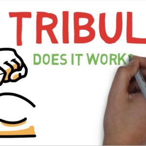 TRIBULUS EXPLAINED: DOES TRIBULUS TERRESTRIS WORK ?