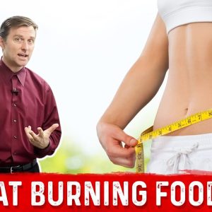 Fat Burning Foods – Dr. Berg