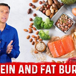 Protein & Fat Burning – Protein Foods & Food For Fat Burning – Dr. Berg